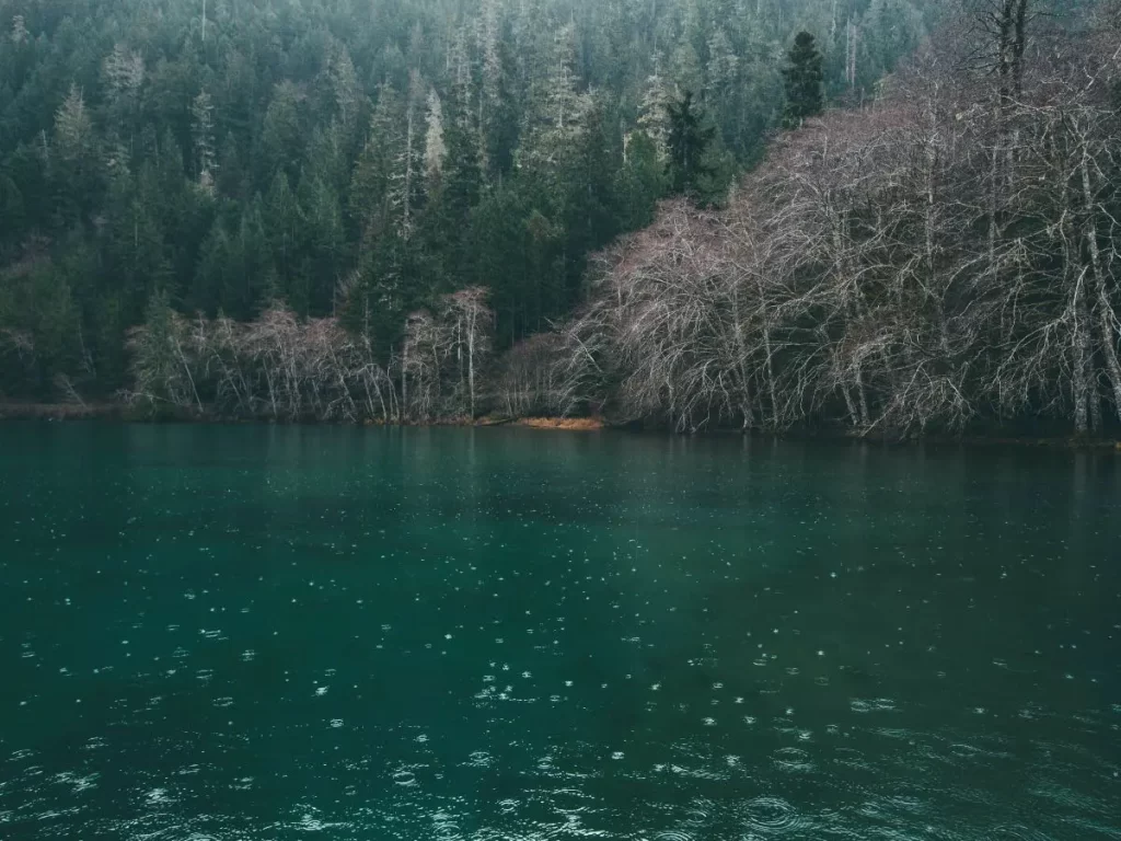 Rain on a lake with a forest in the background