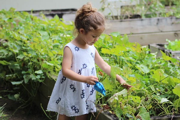 child doing some gardening