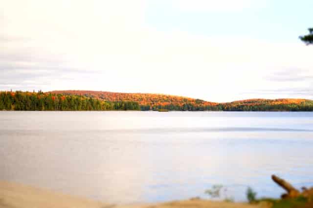 A provincial park on an ontario day trip