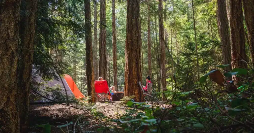 Parents take children camping in the woods